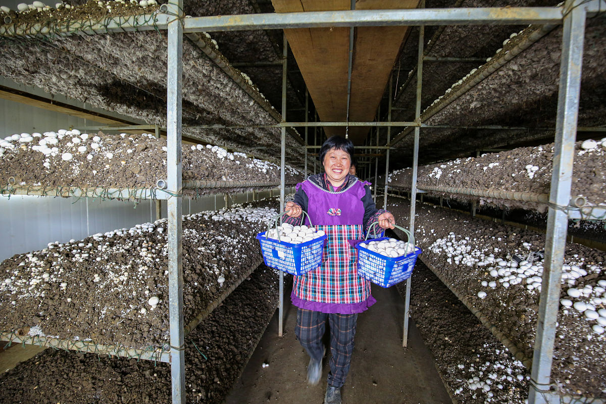南通卫生高等职业技术学校怎么样好不好