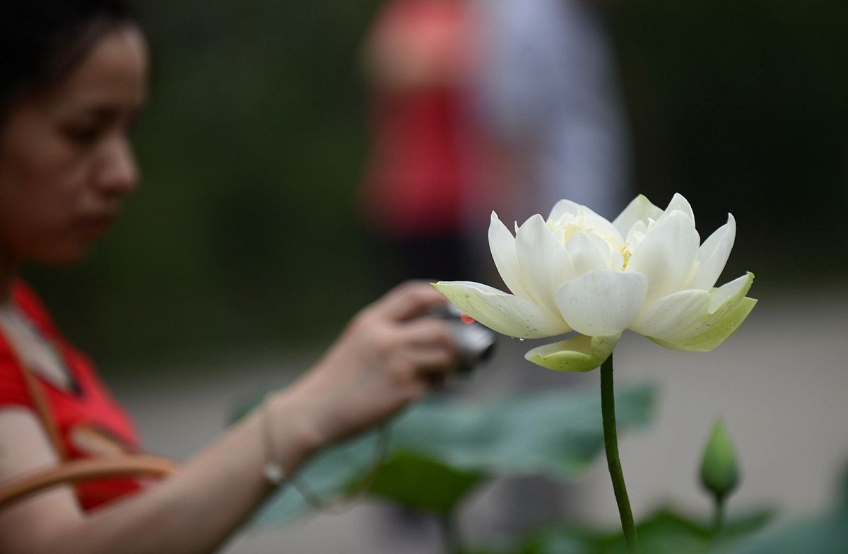 慈心禅练习送祝福的时候没什么感觉？