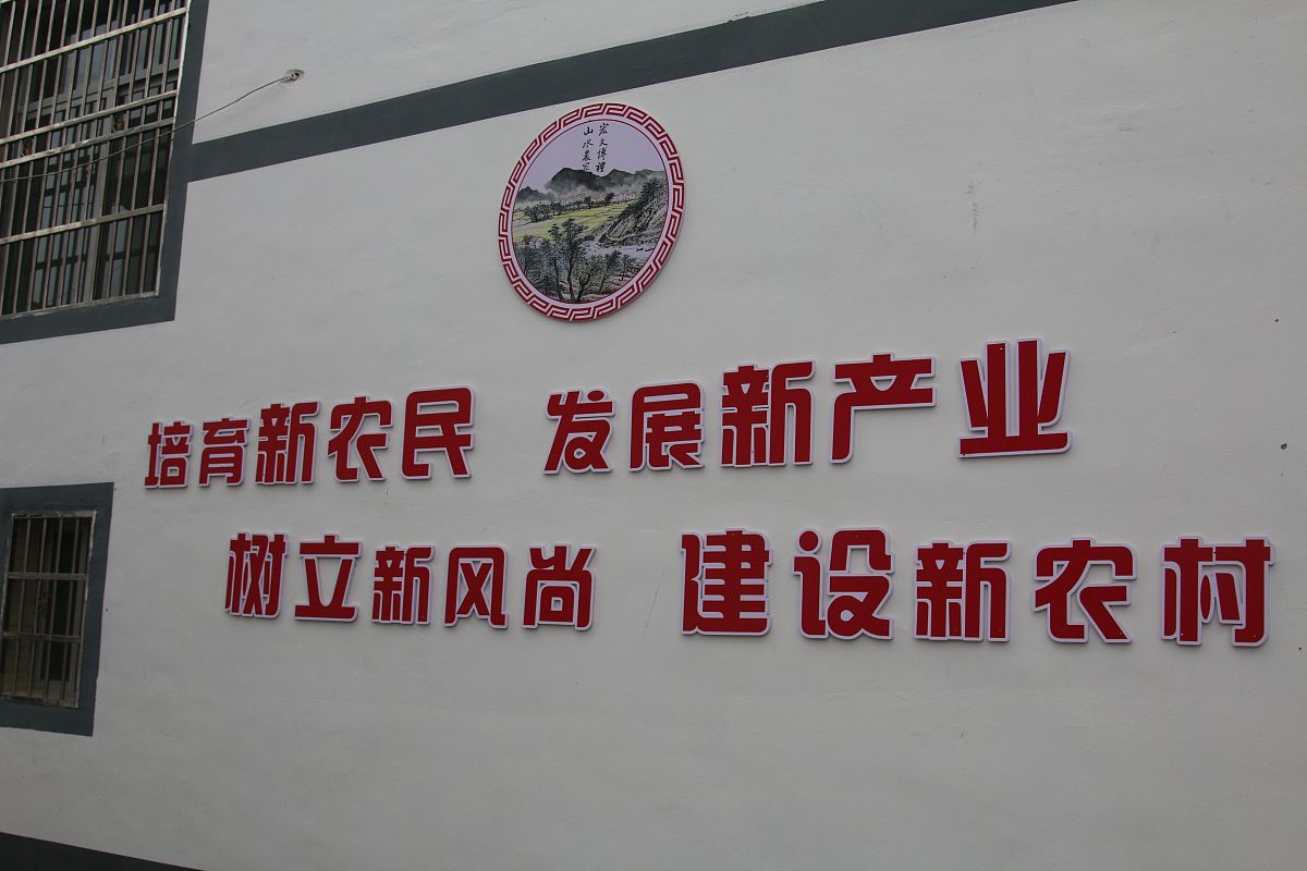 人类共同潜意识：无形力量影响思想与文化
