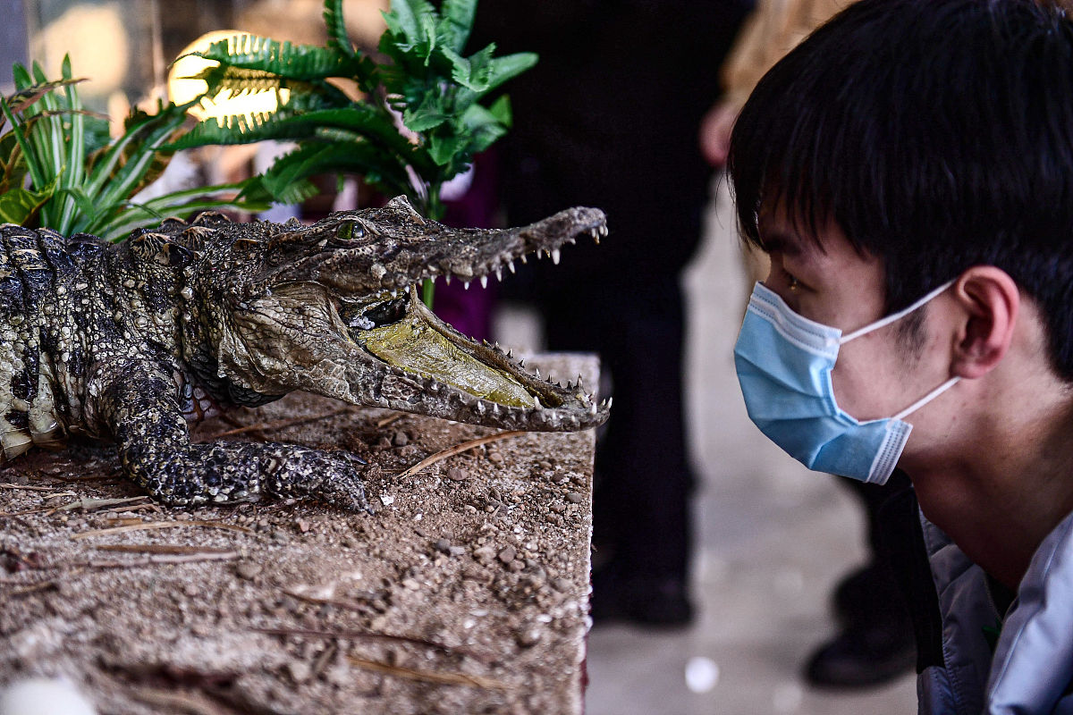 内蒙古农业大学种子生产与经营专业怎么样