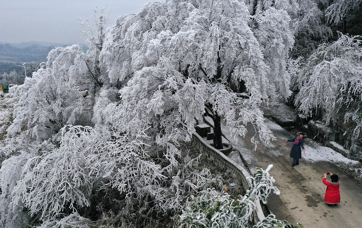 2023龙里县中等职业学校有哪些专业