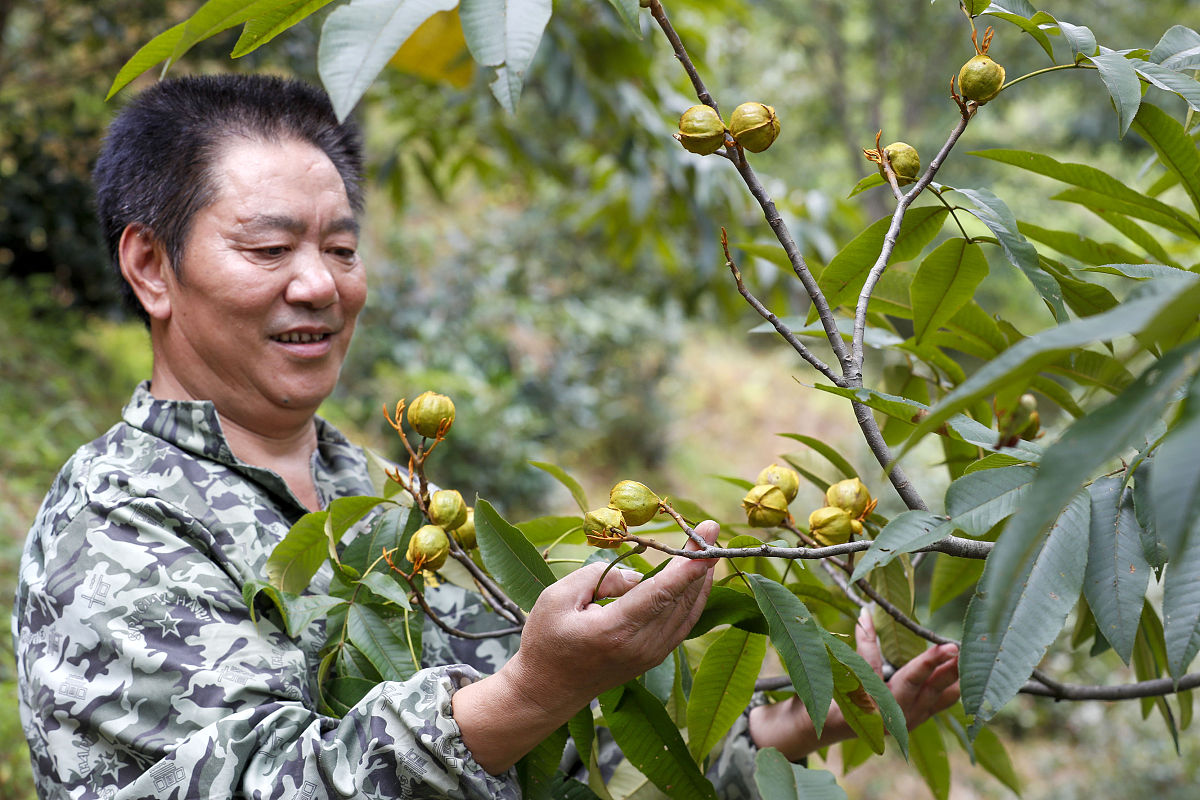 金川公司技工学校2021年多少分能报考