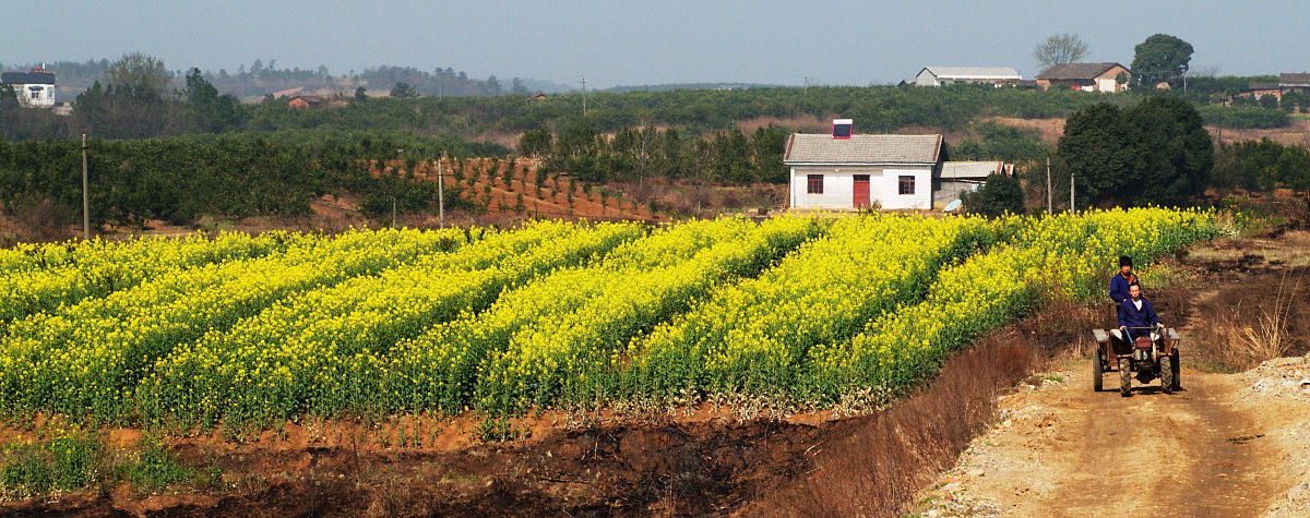 同济大学生物科学类专业怎么样