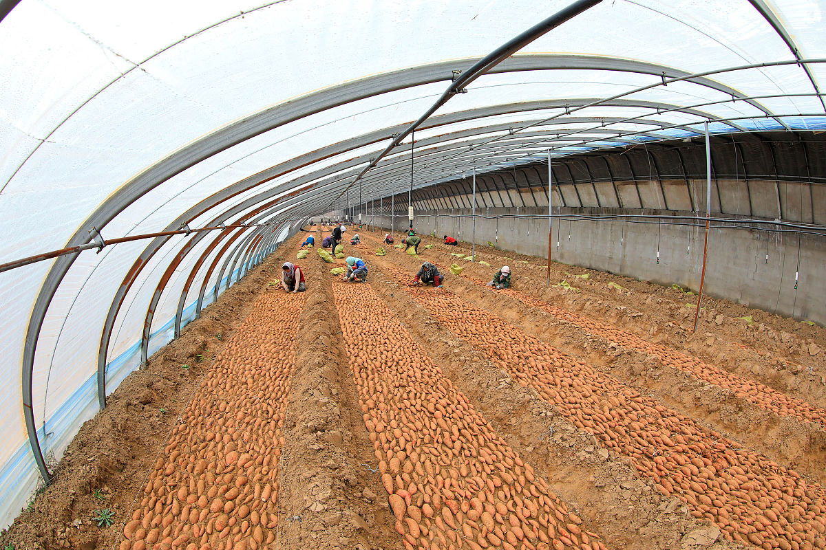 唐山财务会计学校简介怎么样