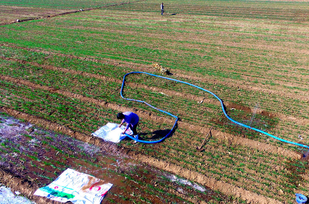 方伯伯浇水 - 优化玉米田品质平均数计算