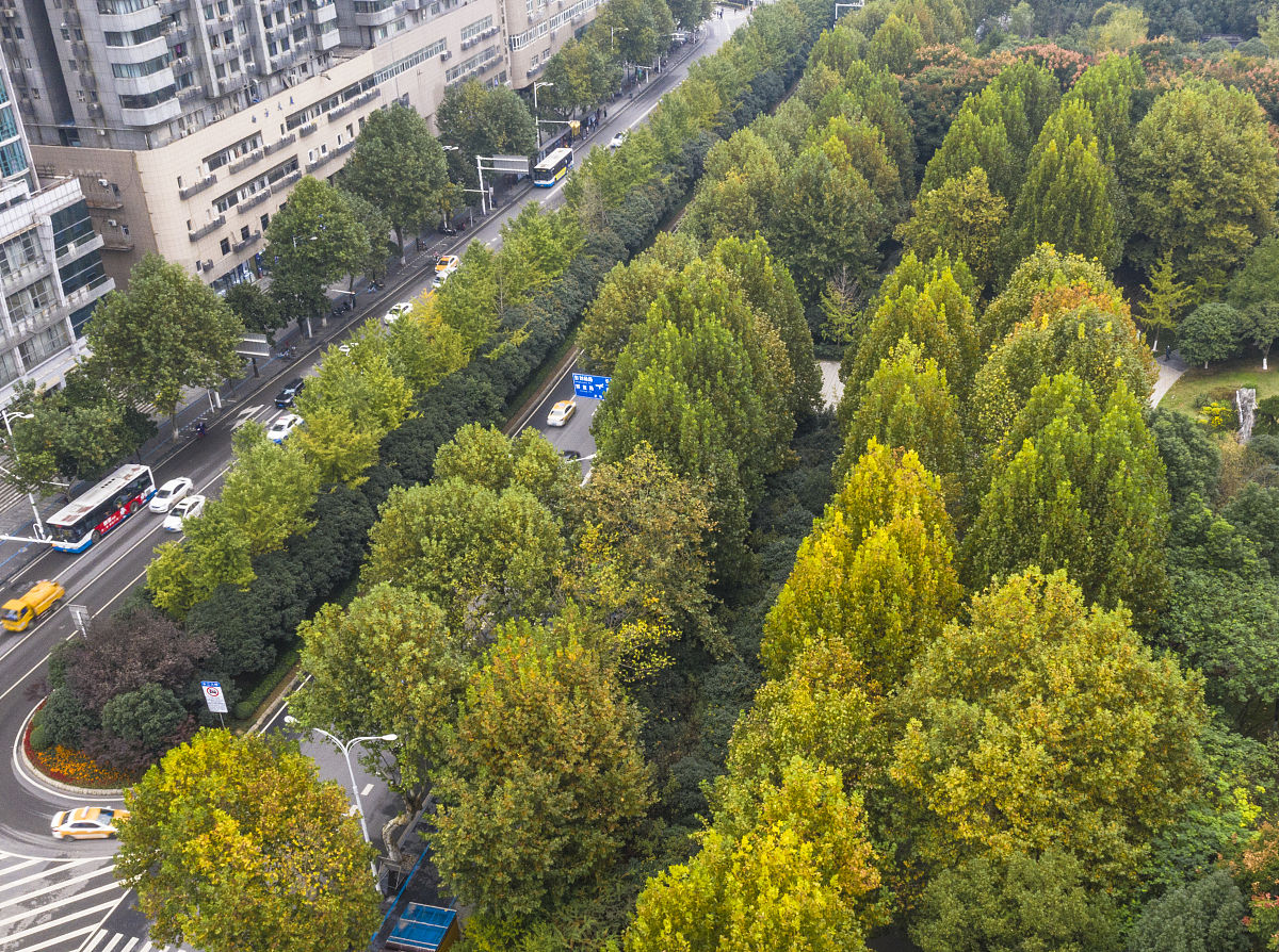 重庆园林技工学校2022年招生简章