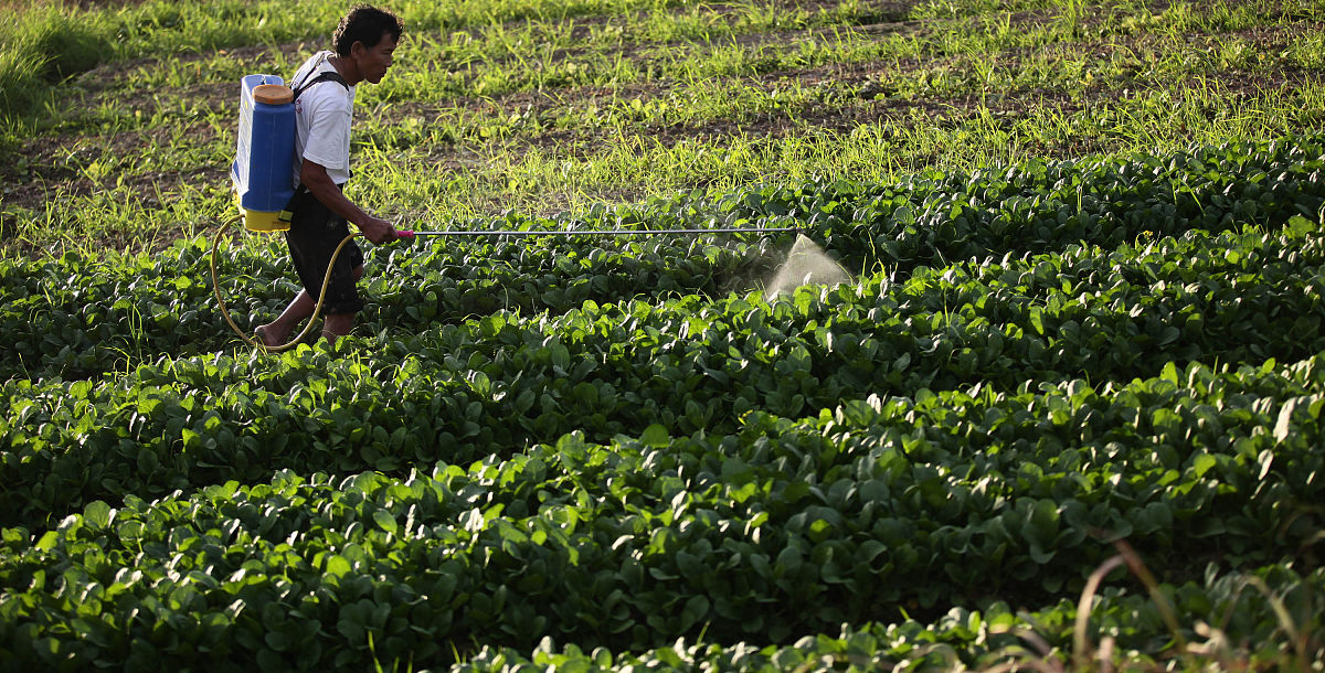 海南农业品种繁育管理述职报告：取得成绩与未来展望