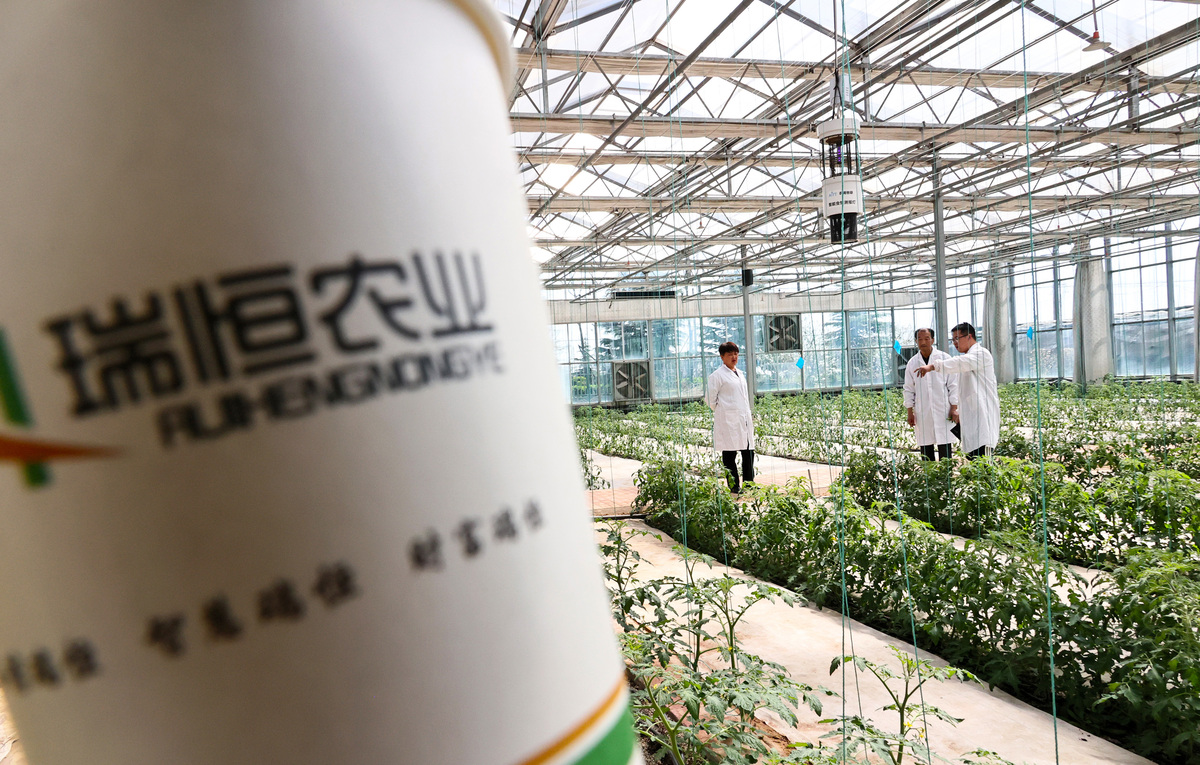 2026年4月1日,山西运城,在山西瑞恒农业股份有限公司,