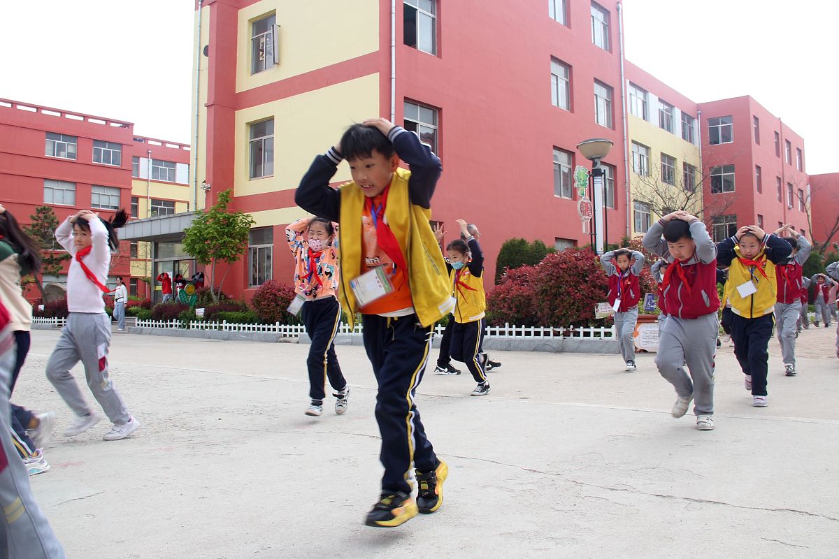 岱岳区卧虎山小学地址及联系方式 - 泰安市小学