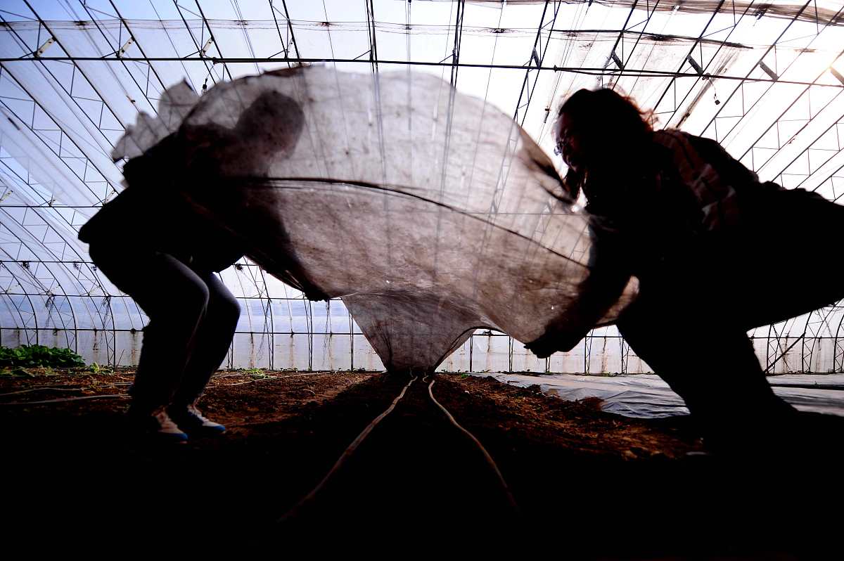 汽车燃油泵的课程思政怎么融合起来