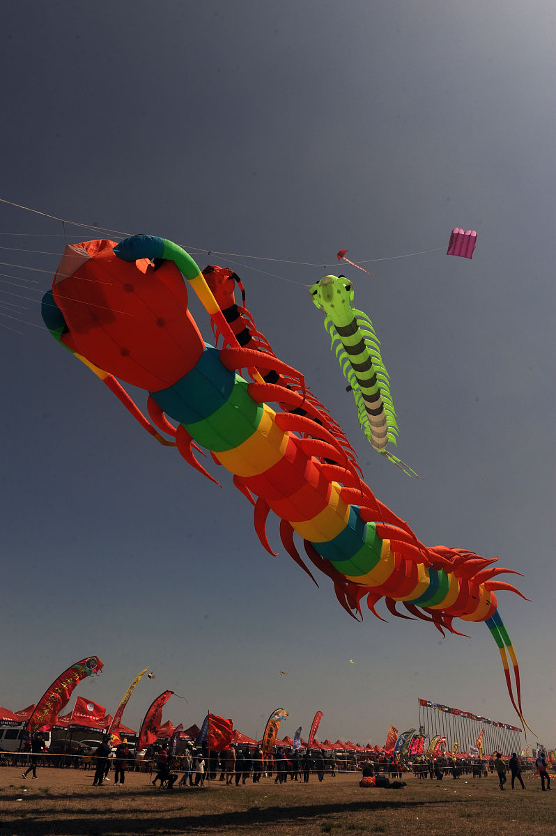 探寻齐鲁大地明珠：潍坊旅游全攻略