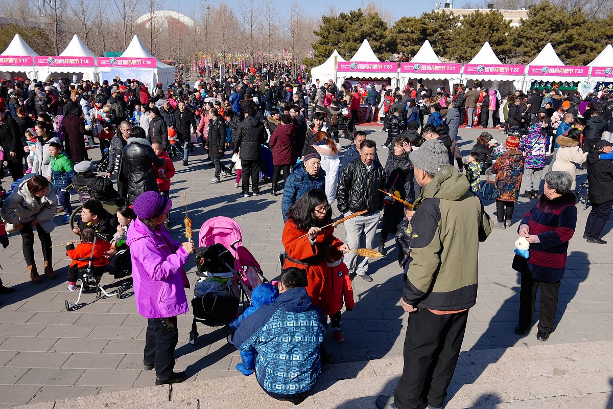 昆明艺术职业学校地址：详细位置及交通指南