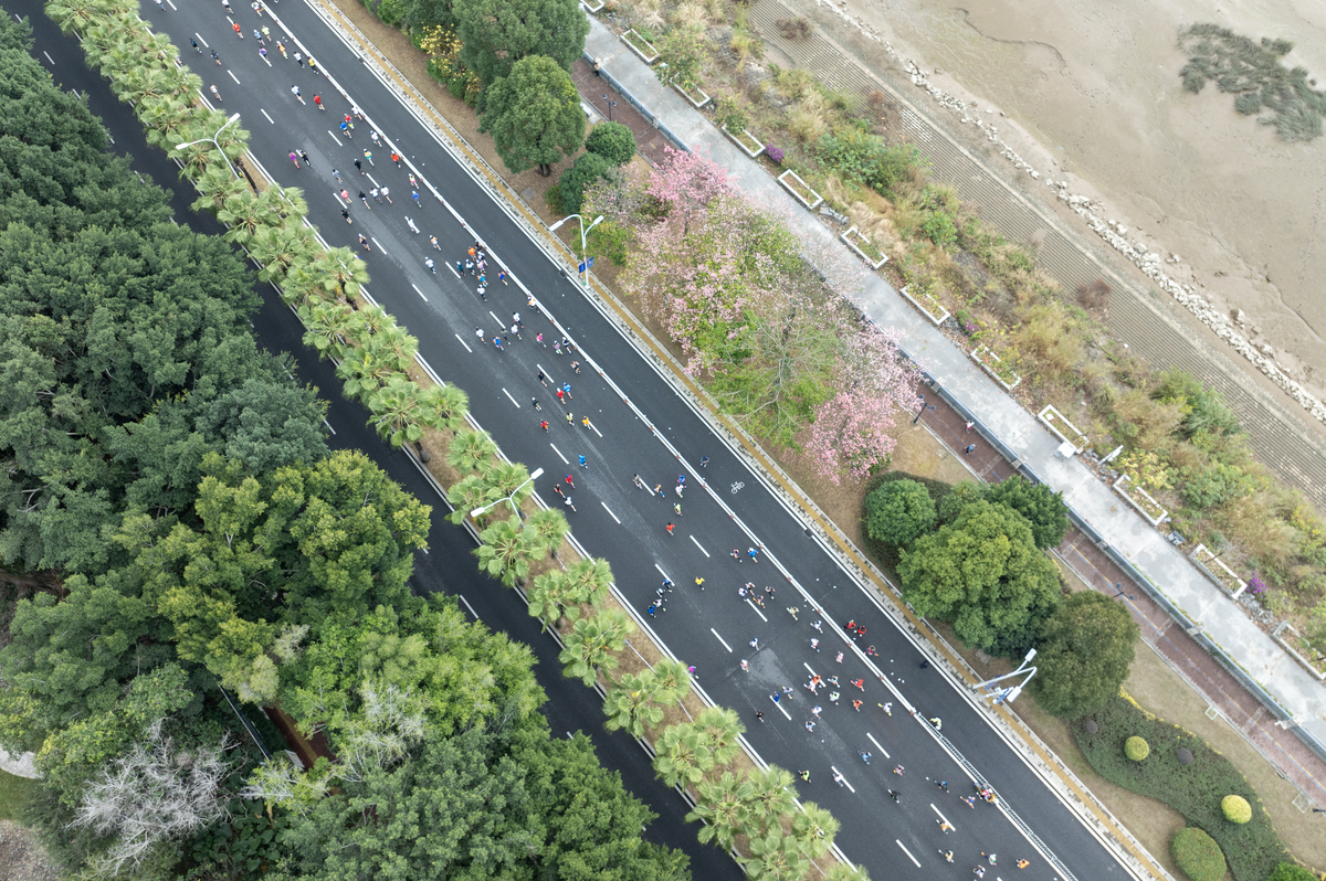 瓯江路道路及景观改造提升工程即将启动