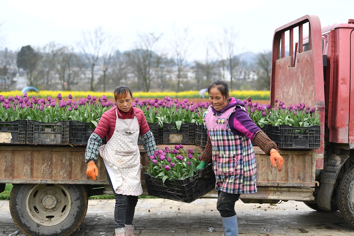 自贡永安职中果蔬花卉生产专业招生