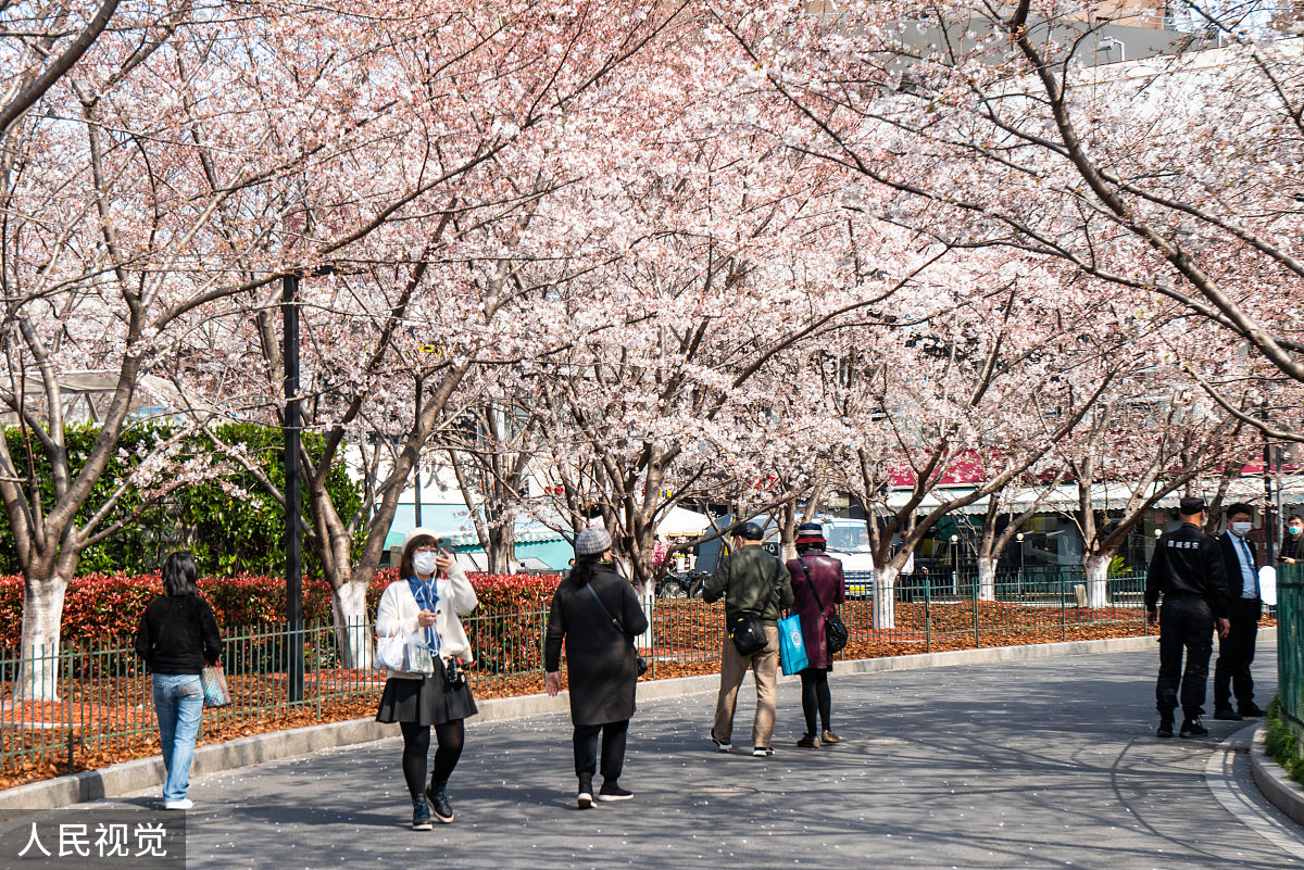 2020年3月23日,上海,有着"最美地铁口"之称的地铁8号线虹口足球场外的