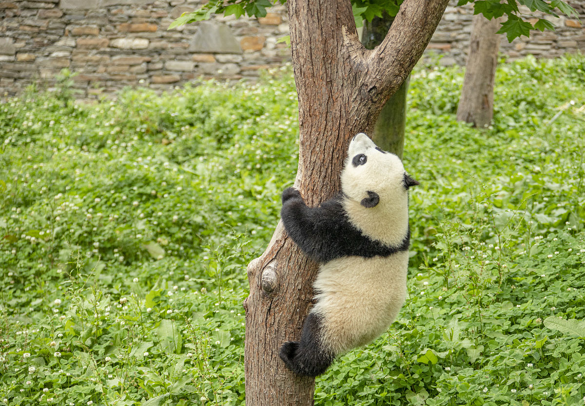 四川2022年什么中专学校比较好呢