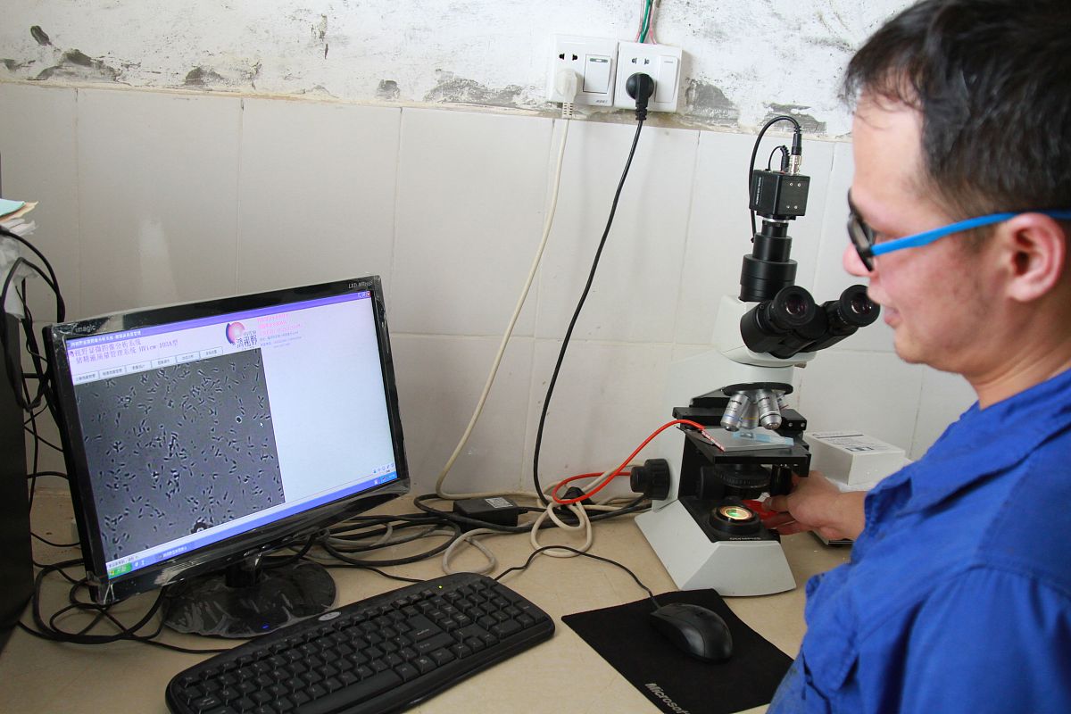 弹性波检测专业书籍推荐：从入门到精通