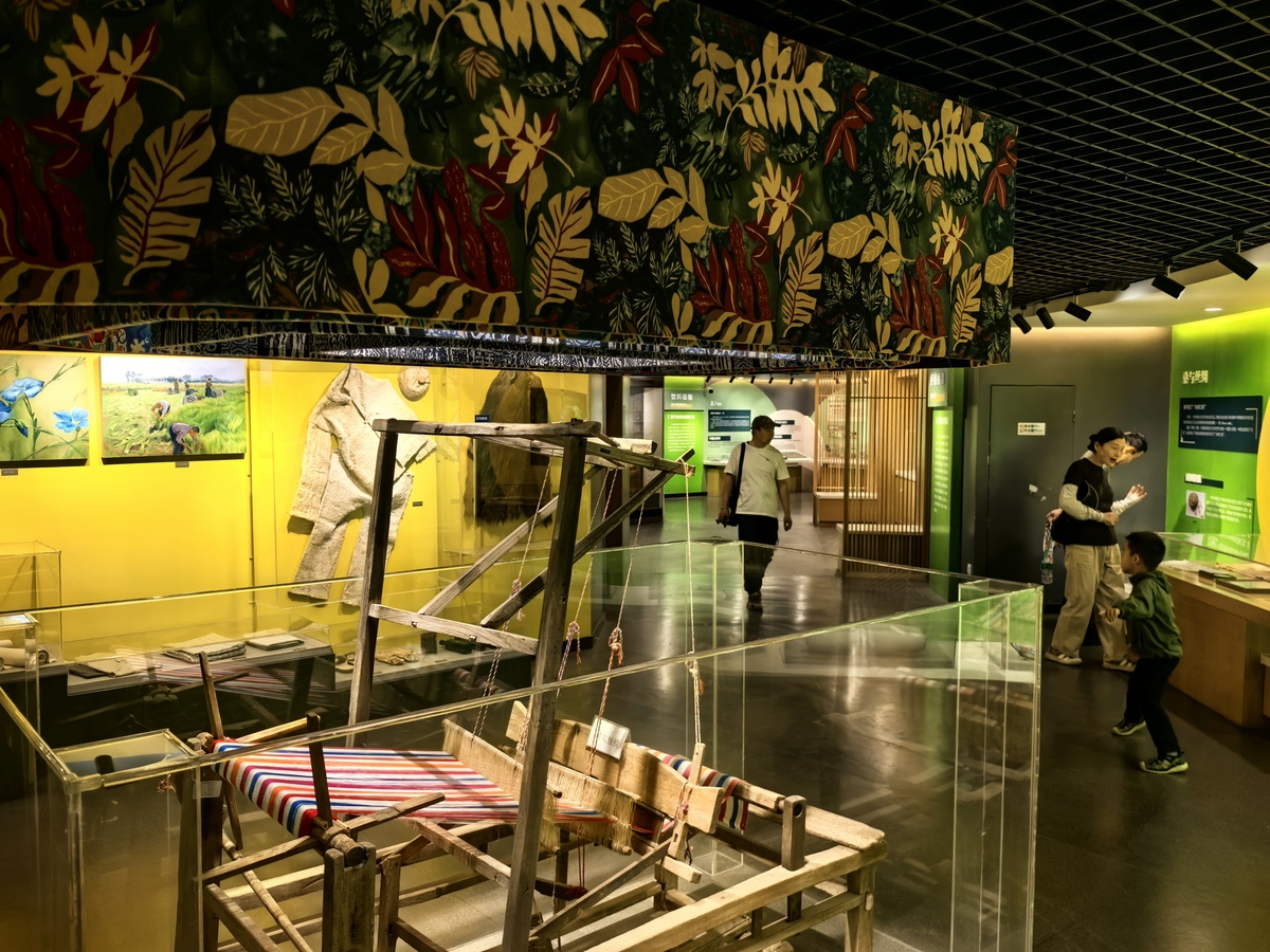 龟文化创意产业园：传承龟文化，推动创意产业发展