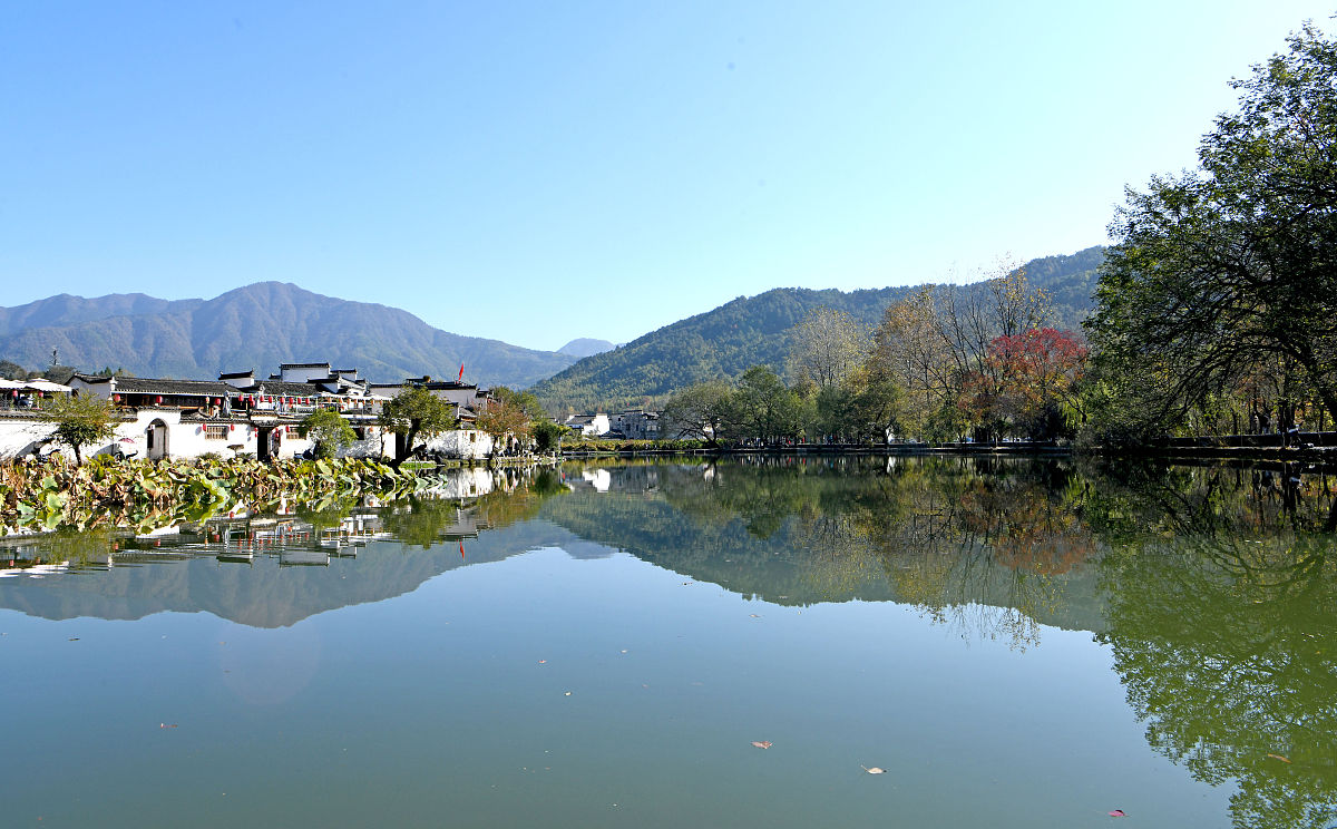 黟县职业学校2021年招生条件是什么