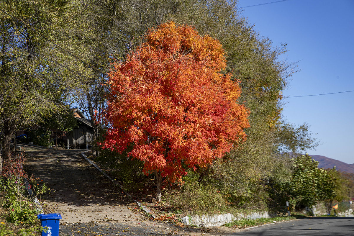2020吉林机械工业学校招生简章