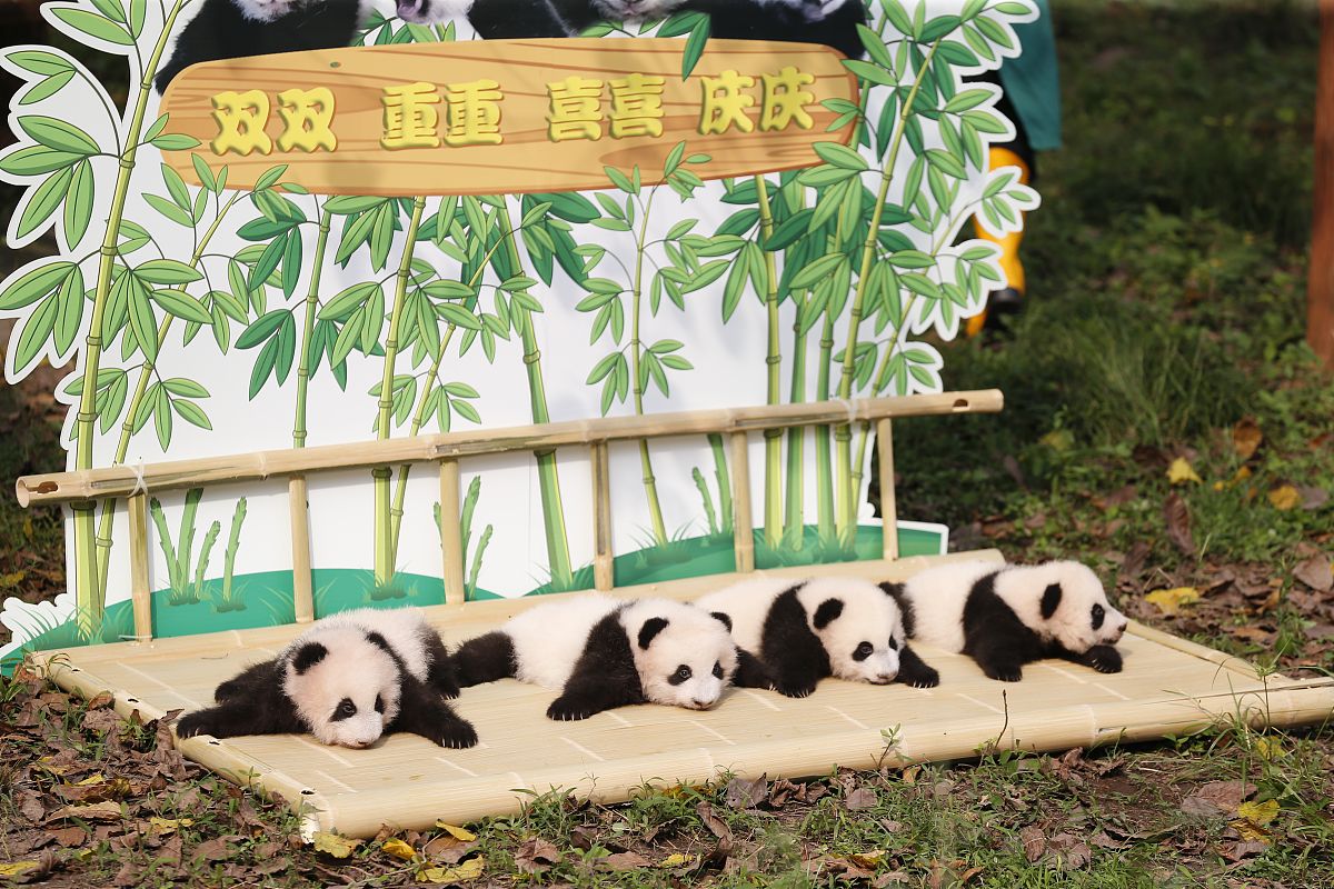 给我想一个娃儿的名字