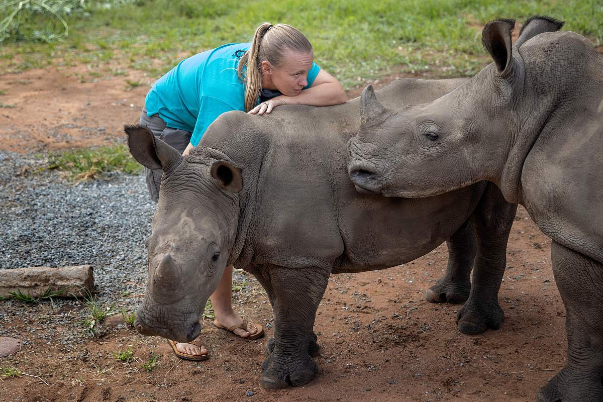 2019年重庆护士学校五年制大专招生