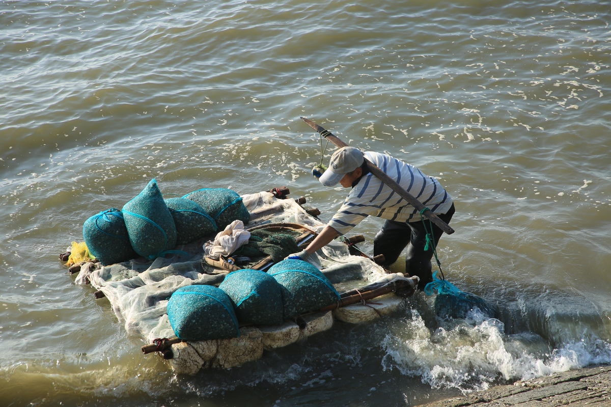 北海不明鱼类咬人事件致游客减少80%，海滩安全引发担忧