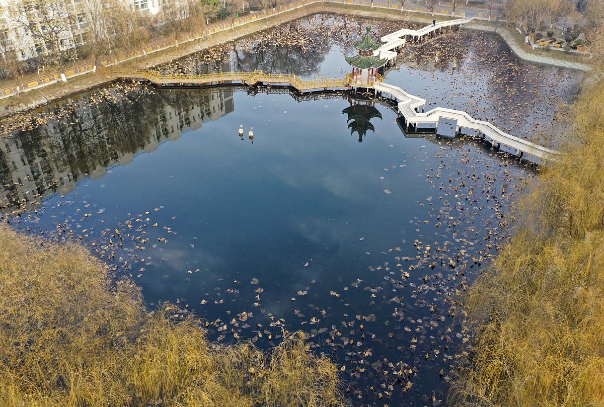 柳州职业技术学院电子商务专业怎么样？就业前景、师资力量分析