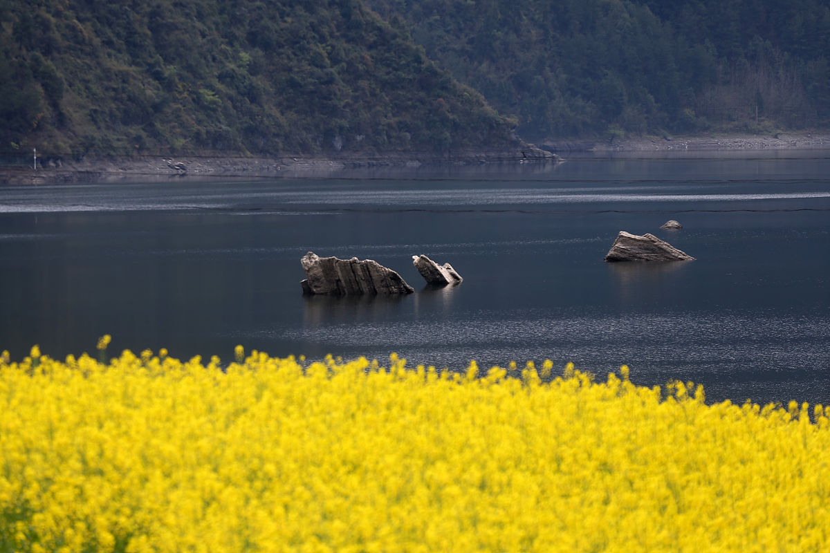 重庆搞笑账号名，辣到你尴尬！