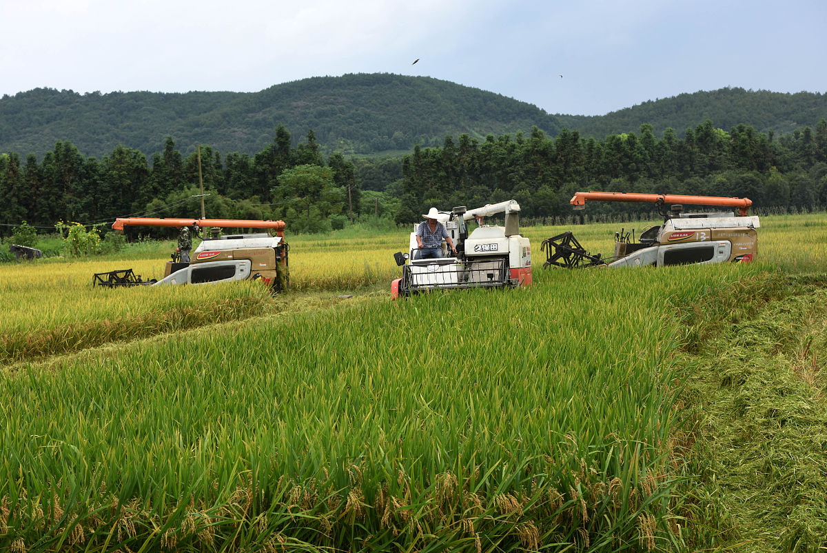 毕节农业学校2022年热门专业推荐：农业机械化、生物科学等