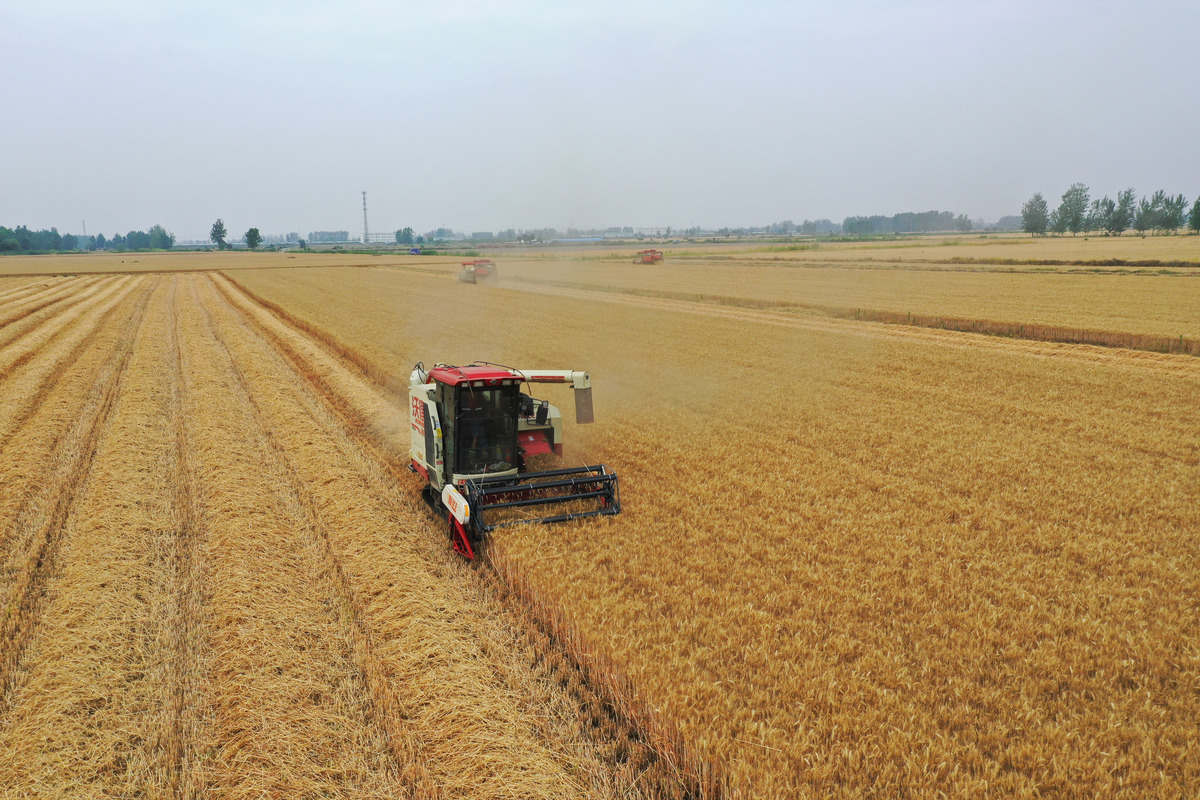 关于粮食生产支持政策评价的约稿组稿时针对每个补贴政策提期盼诉求前需要先说明原因。即针对每个补贴政策至少包括三部分内容一是政策评价、二是当前存在的困难、三是期盼诉求。内容字数不少于4000字。