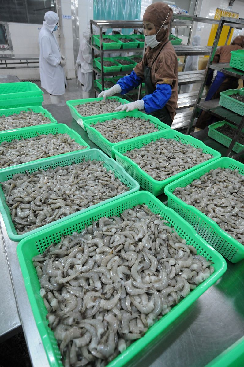 广西建设职业技术学院宝玉石鉴定与加工技术专业怎么样？- 前途无限，值得报考！