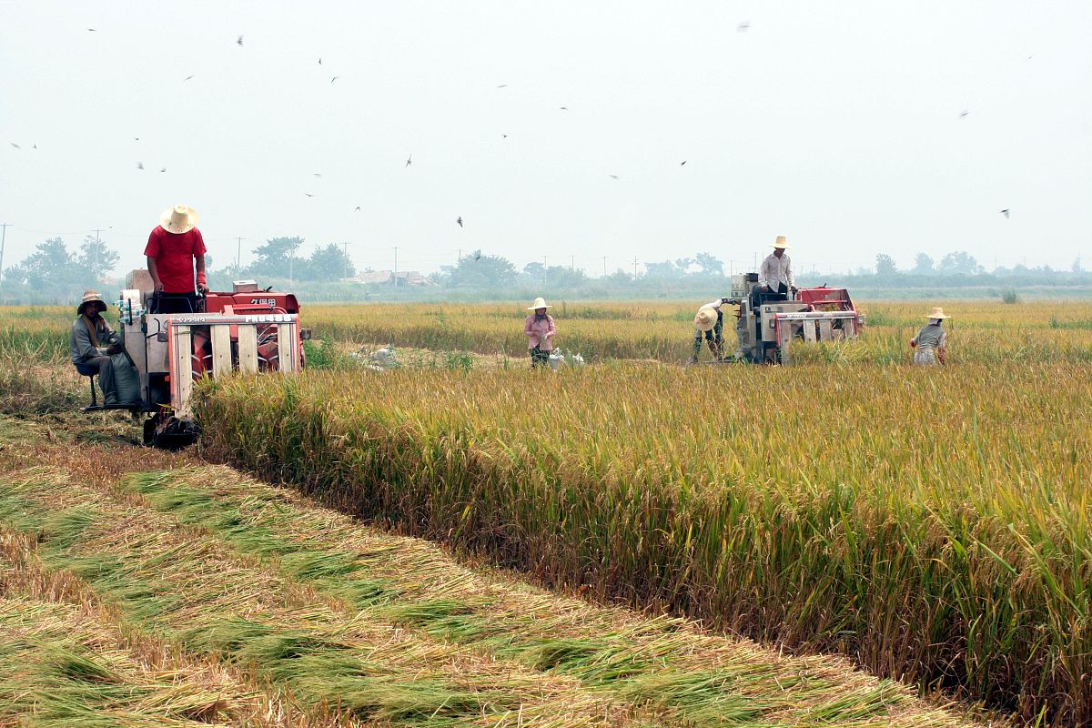 重庆农业学校宠物护理与经营专业教学质量如何？