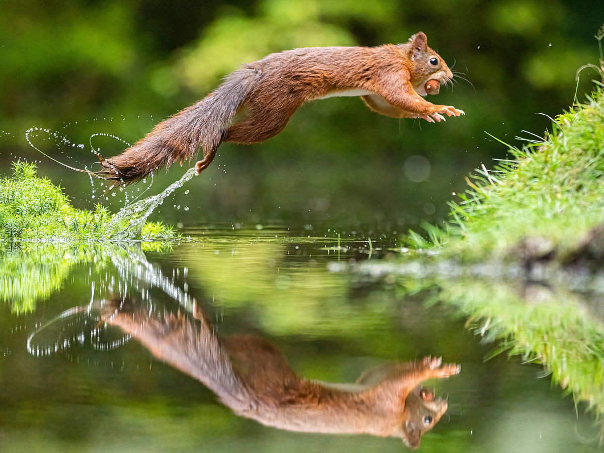 1200字关于摄影技巧大揭秘：如何拍出令人惊叹的照片