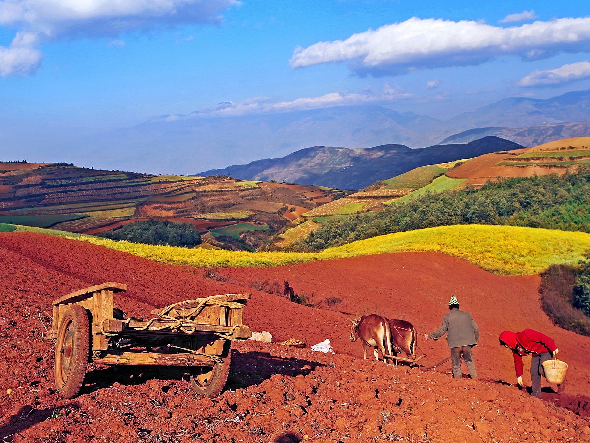 云南省东川市第三中学2022年招生简章 - 报名时间及方式