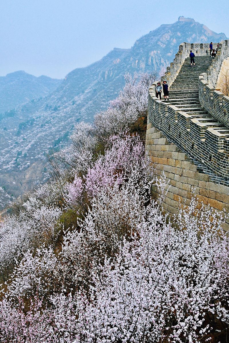2018年3月31日,登上黄花城水长城,举目远望,漫山遍野的山桃花,将长城