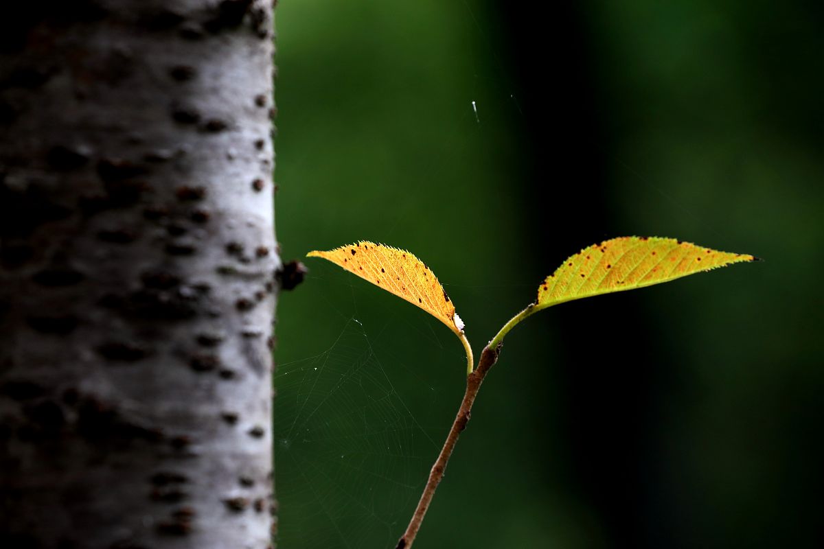 南昌中专学校计算机专业排名：2021年最佳选择