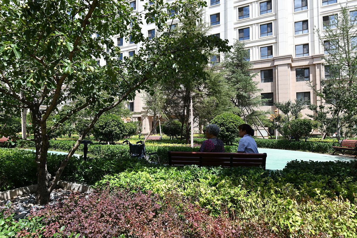 新都卫校护理专业招生和培养标准 - 培养优秀护理人才的摇篮