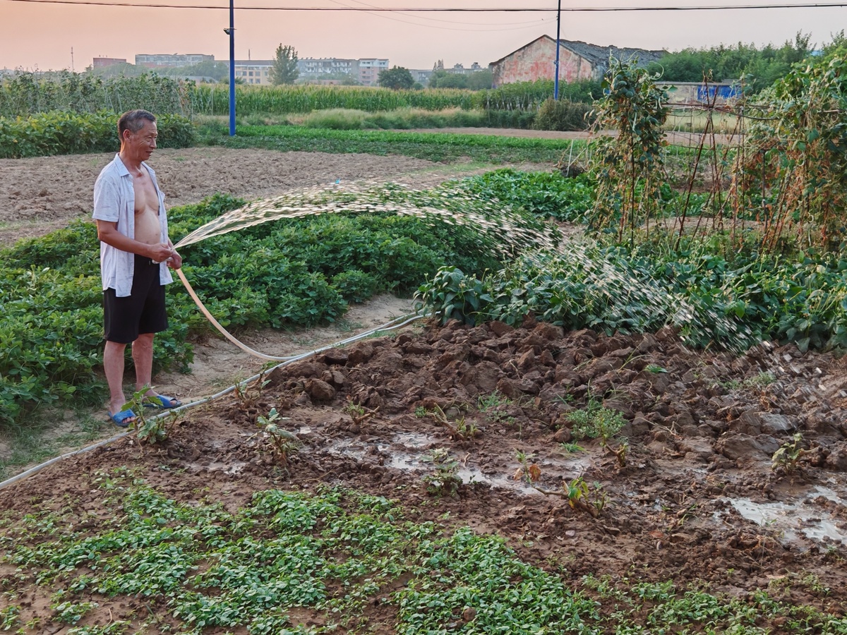 润色下面文字：营养液调控可以节约资源。传统的辣椒栽培方式需要大量的土地、水源和肥料资源消耗较大。而营养液调控采用水培或基质培养的方式可以节约土地资源减少土壤污染和侵蚀。同时营养液调控可以精确控制植物的水分和营养供应避免过度施肥和浪费水源提高资源利用效率。