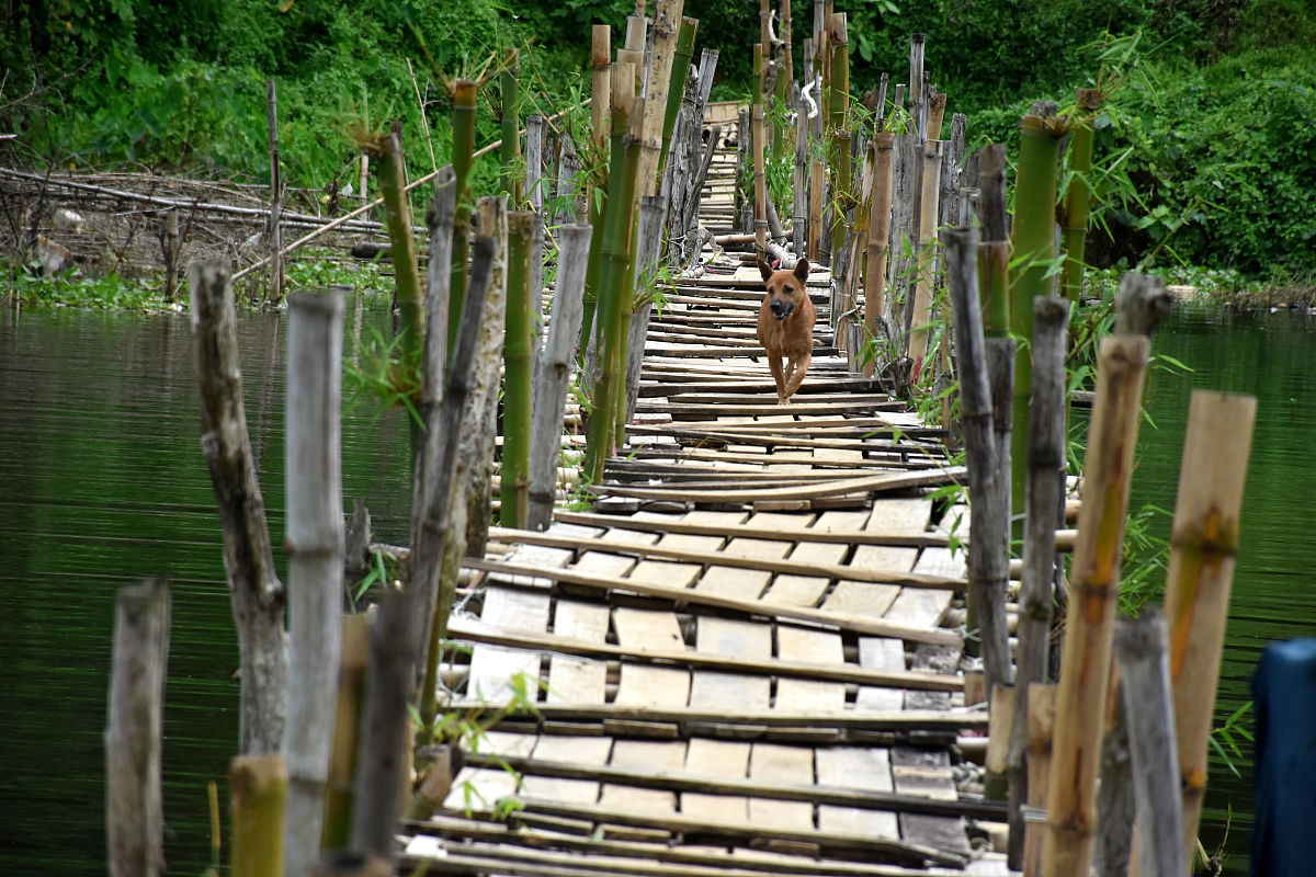 百色职业学院道路桥梁工程技术专业怎么样