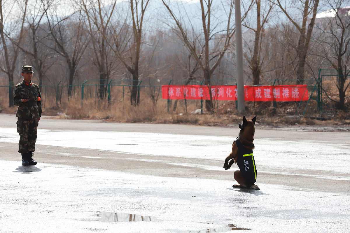 甘肃铁路学校与中专区别：2023年最新对比
