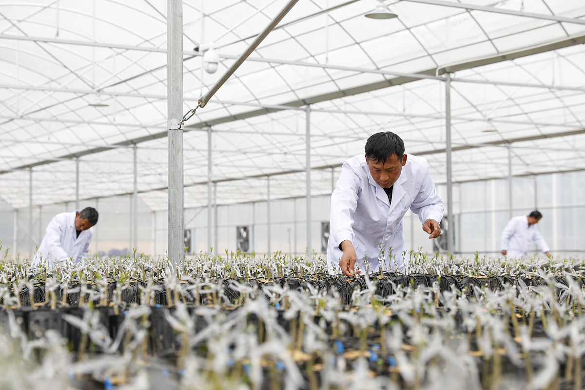 宣恩县中等职业技术学校现代农业技术专业简介 宣恩县中等职业技术学校现代农业技术专业简介