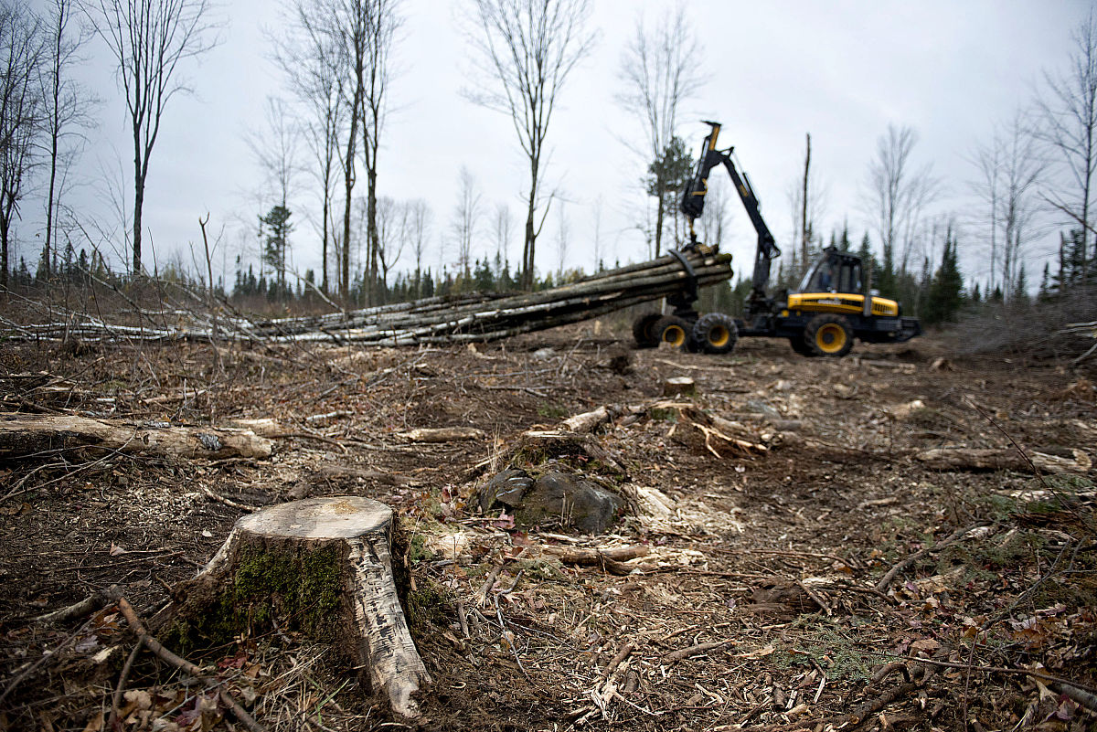 translate to traditional chineseThank you for your email dated 18 th September I would comment as follows in connection with yourqueries in blue contained in our letter dated 14 th September6 I have r