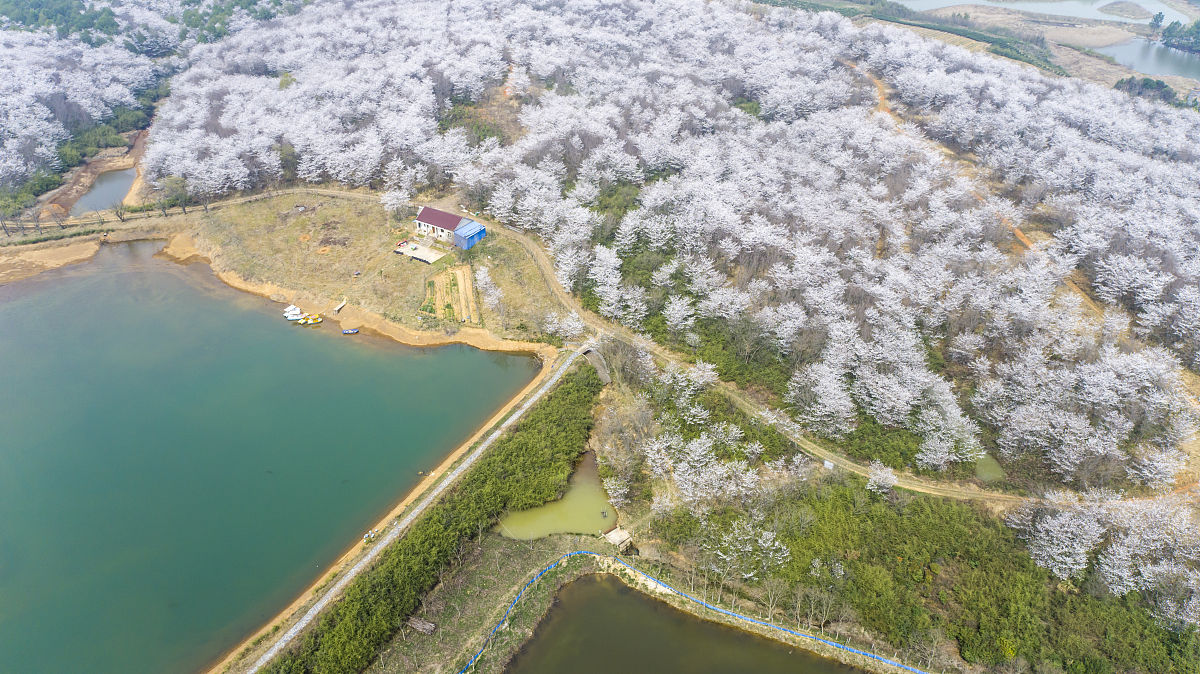 宣城旅游学校2021年招生简章【官网】- 招生计划及报名条件