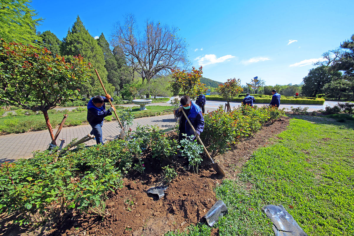 绿化养护保障措施