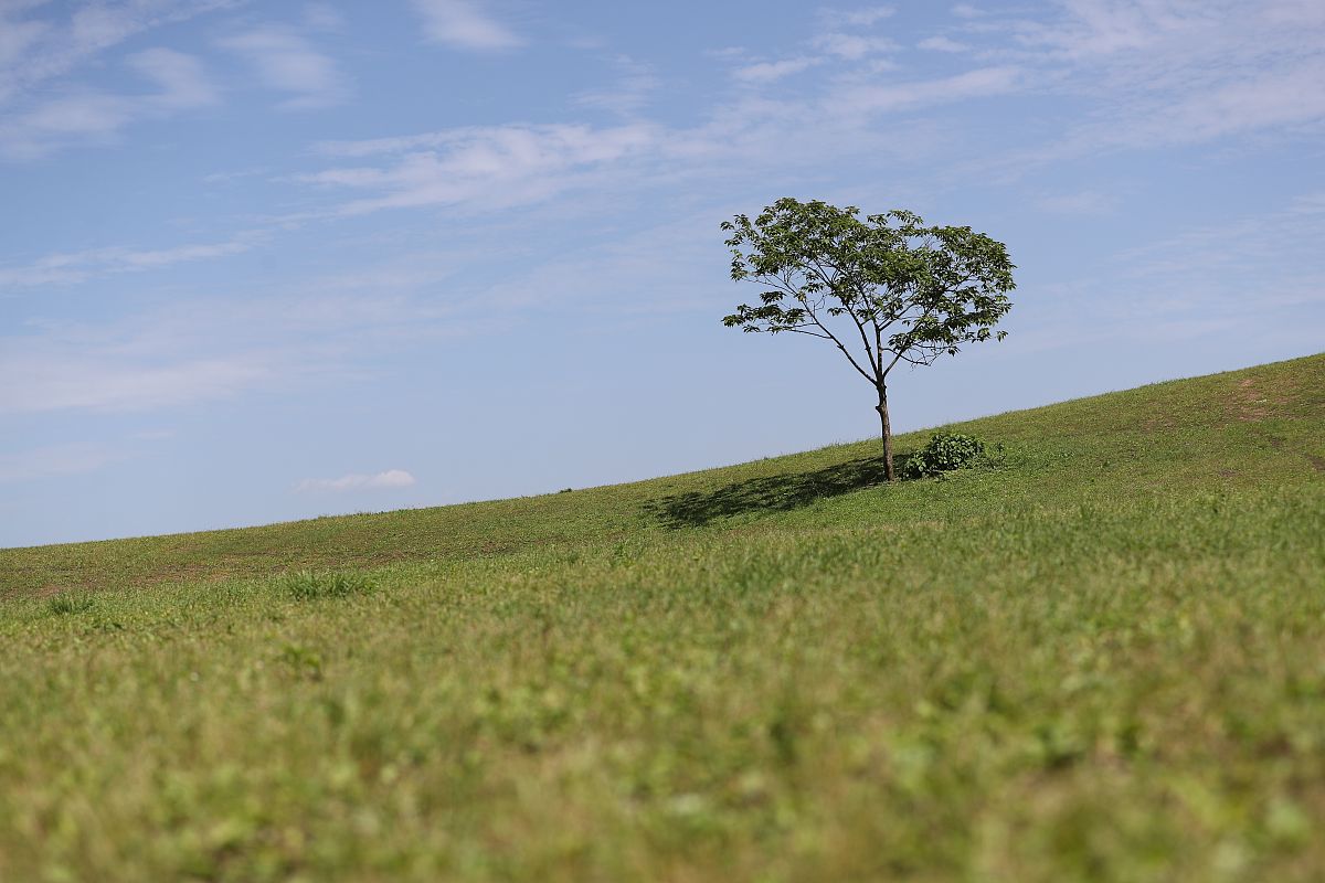 涪陵第一职业中学校2022年招生简章