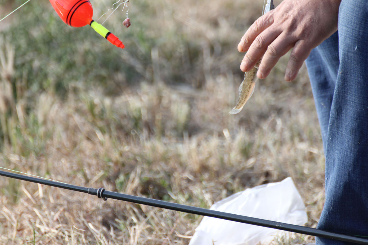 一根针掉进池塘怎么办