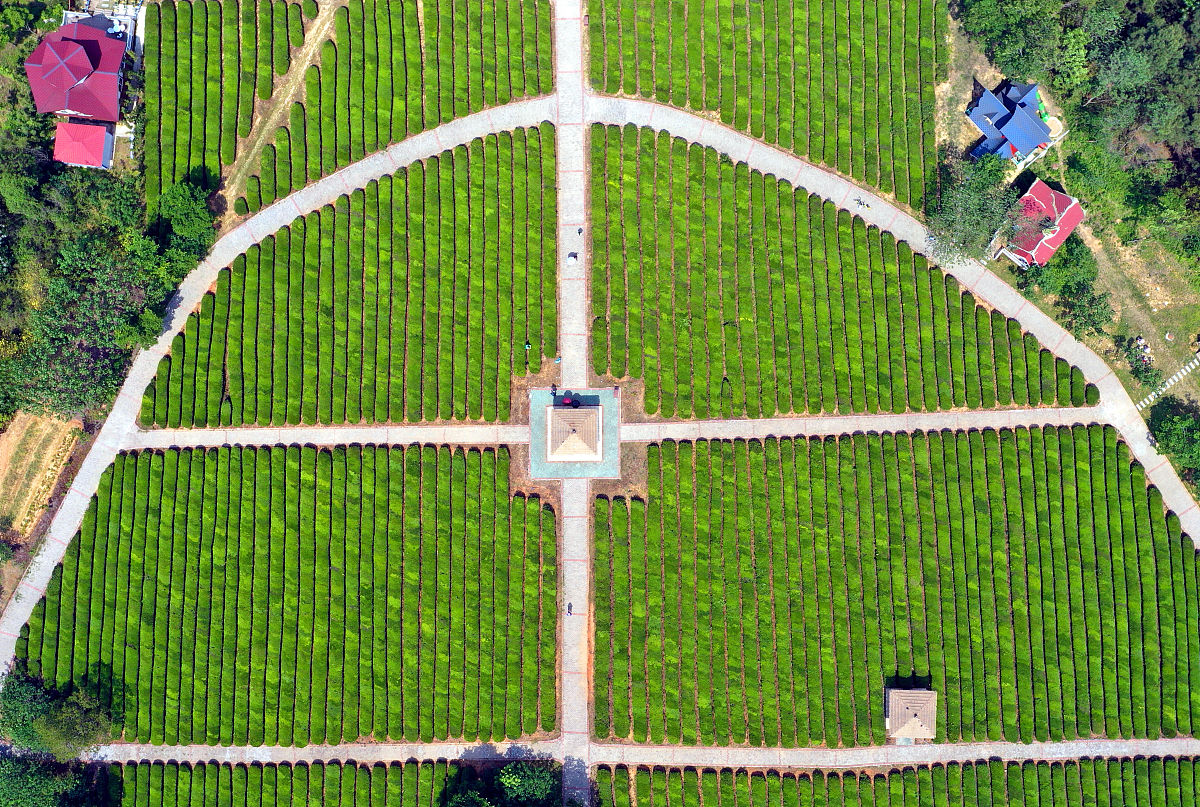 绿色绸带 黄色绸带 维护农民工合法权益 尊重农民工理解农民工保护农民工关爱农民工 白云