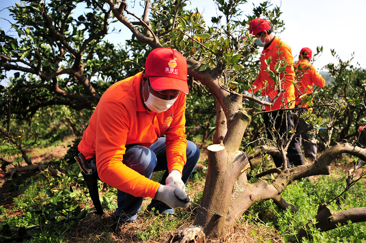 初中生学护理，未来就业前景如何？
