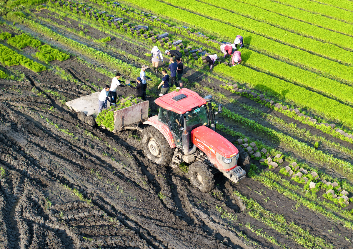 什么是实业？解读实业的本质与意义